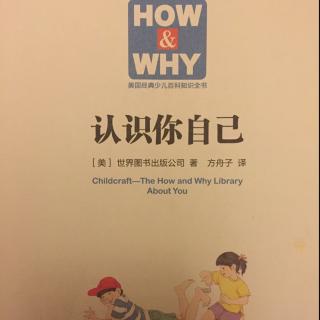 No.64《How&Why·认识你自己》-《你的外表》（中文）