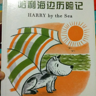 【读点书吧】哈利海边历险记，吉恩.蔡恩（美）