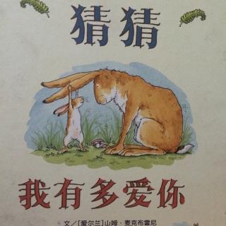 猜猜我有多爱你