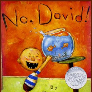 硅谷宝宝最爱的绘本—No,David!（家有小鬼必读）
