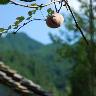 《礼记选》四、学记