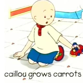 7-04 Caillou grows carrots