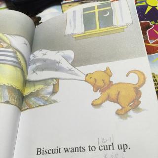 biscuit9