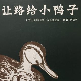 让路给小鸭子