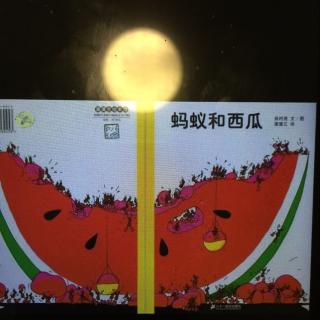 故事70  蚂蚁🐜和西瓜🍉