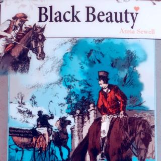 Black Beauty （page 32-35）