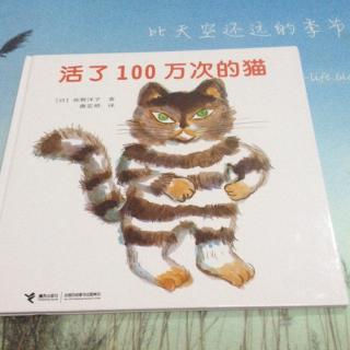 活了一百万次的猫