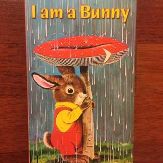 第150期蜜丝刘亲子读物《I am a bunny》