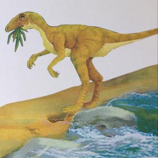 光阴虫下一期:机敏的埃雷拉龙