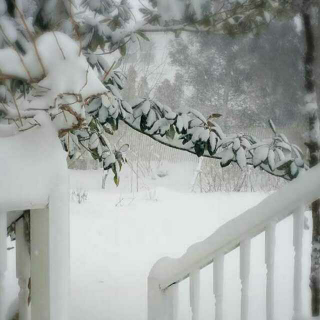 殷刚作品《白雪正覆盖你的庭院》/斯琴塔娜(著名旅美艺术家)