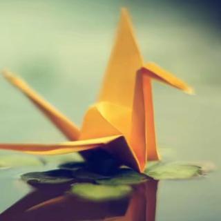 【经典童话】《美丽的千纸鹤》