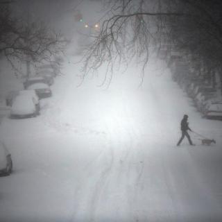 美国也寒潮 东岸暴风雪造成至少17人死亡
