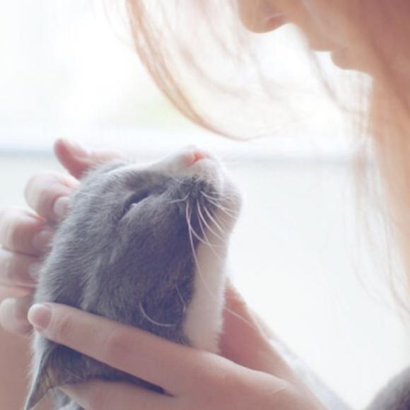 乖,摸摸头——大冰