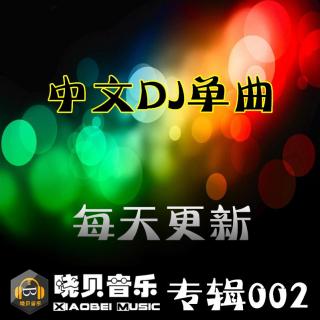 DJ晓贝-没有你的日子我真的好孤单