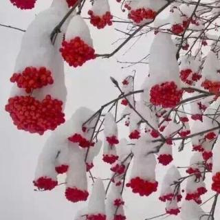 20160126这场风雪这次降温