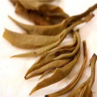 普洱茶真的可以保值么？