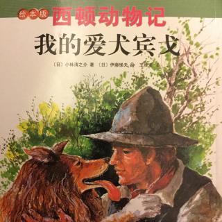 52.西顿动物记之《我的爱犬宾戈》