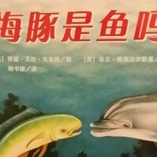 迷人的科普绘本《海豚是鱼吗》