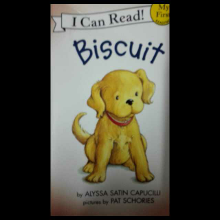 biscuit