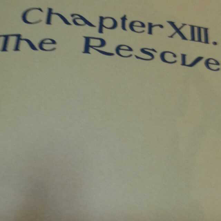 (1)XIII The reascue