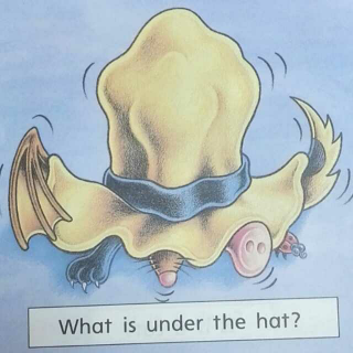 【yoyo念英文】What is under the hat