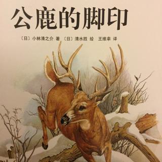 57.西顿动物记之《公鹿的脚印》