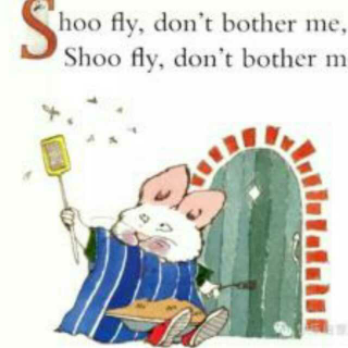 Shoo, Fly, Don't bother me-by Shirley