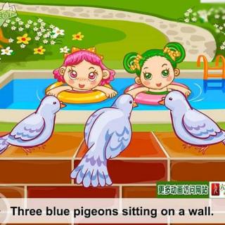 每天一首英文儿歌——《Three Blue Pigeons》