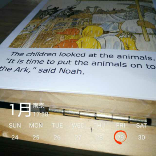 Noah's ark adventure