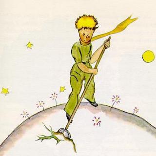 [第29期]学法语-小王子（Le petit prince）- Chapitre 5 et 6 中法文对照