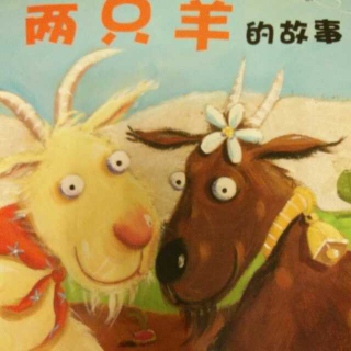 暖暖心绘本-两只羊的故事