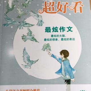 最炫作文~酸备的替身