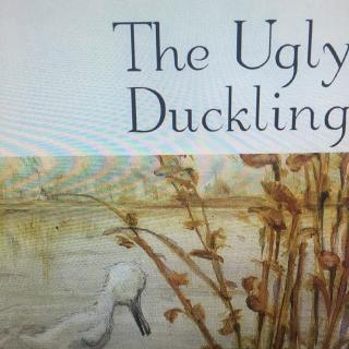 The ugly duckling