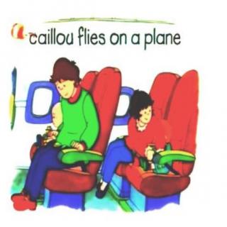 11~2 caillou flies on plane