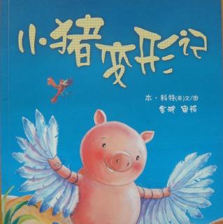 小猪变形记🐷