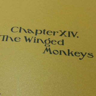 (1)Chapter XIV The winged monkeys
