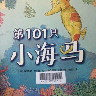 第101只小海马