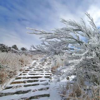 普通话朗读作品4号《第一场雪》