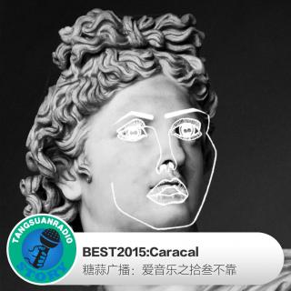 糖蒜爱音乐－BEST2015:Caracal