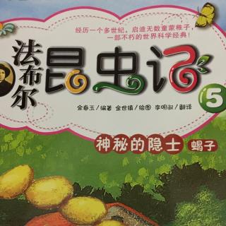 法布尔昆虫记5 神秘的隐士 蝎子Ⅱ