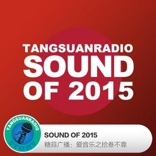 糖蒜爱音乐－拾叁不靠：SOUND OF 2015