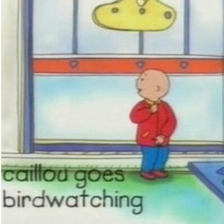 11~04 caillou goes birdwatching