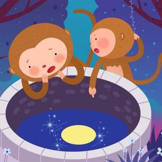 [新春故事汇]猴子捞月
