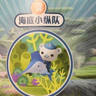 海底小纵队与敏捷的旗鱼