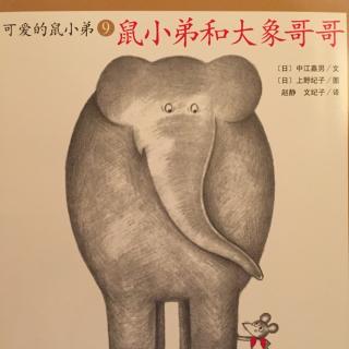 鼠小弟和大象哥哥🐭🐘