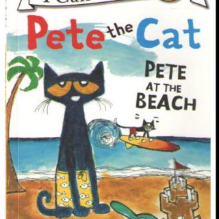 pete at the beach 