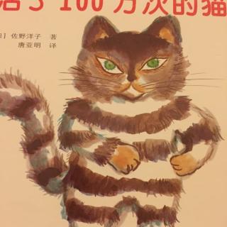 活了100万次的猫