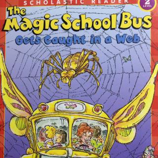 The Magic School Bus Gets Caught in a Web