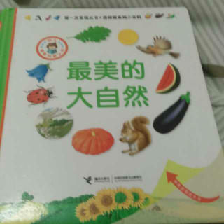 最美的大自然1