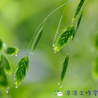 孕4月90D | 民间老规矩，信还是不信